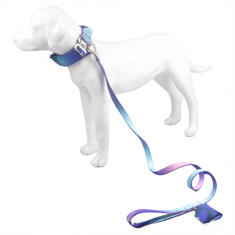 Small dog harness and lead set in bright gradient colours