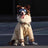 Khaki shirt for large dogs, in Khaki, sizes Small to 3XL, image 1