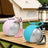 Dog water bottle