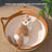 Caramel rattan and cotton rope cat bed with play ball, view 2