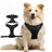 H shape reflective dog harness for medium and large dogs in black, view 1