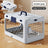 Light green foldable plastic pet travel crate with divider, photo 5