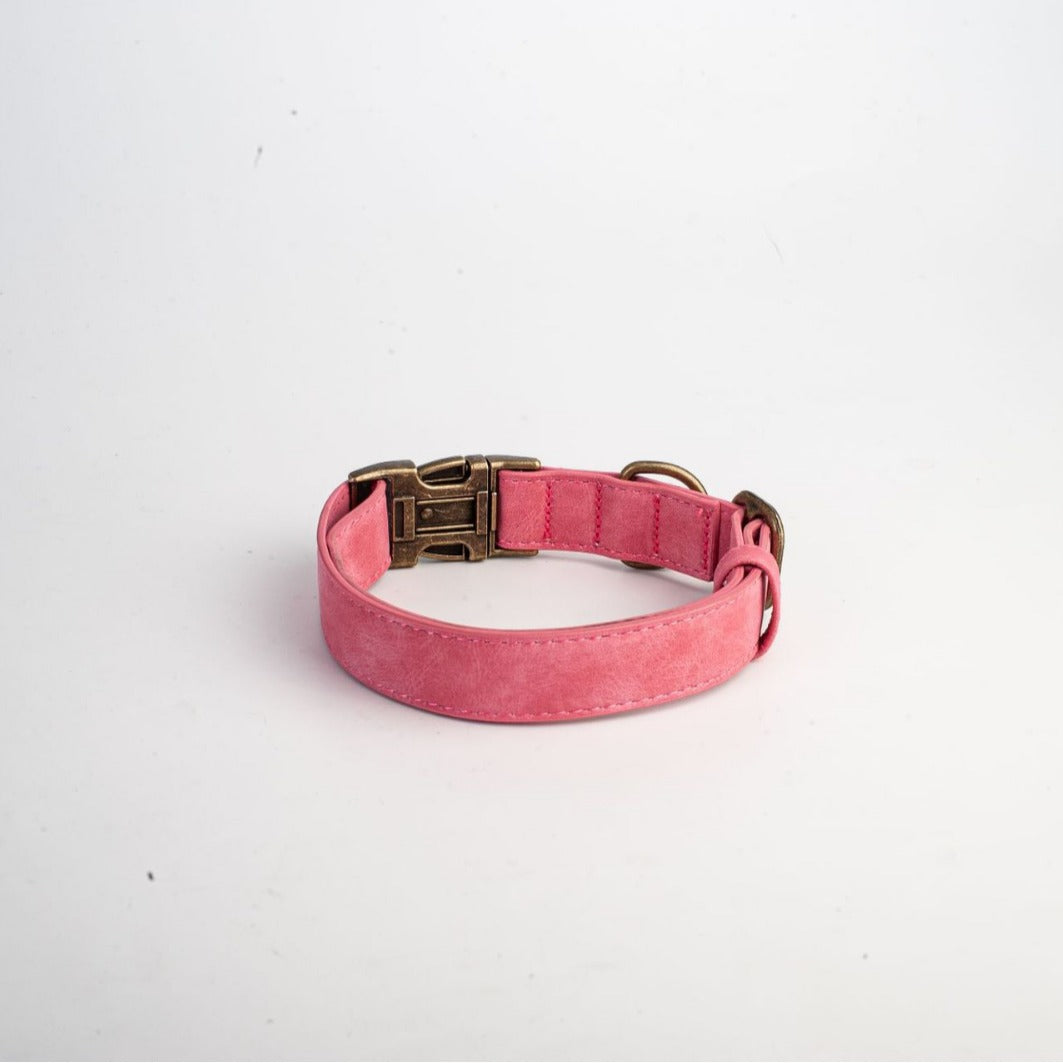 Soft leather dog collar with alloy buckle, product image 3
