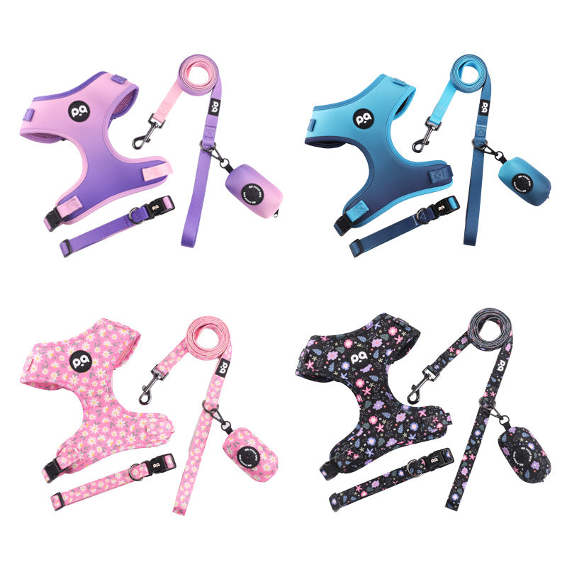 Patterned dog collar and lead set, 2 sizes available