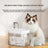 Automatic Pet Water Dispenser with Filtration
