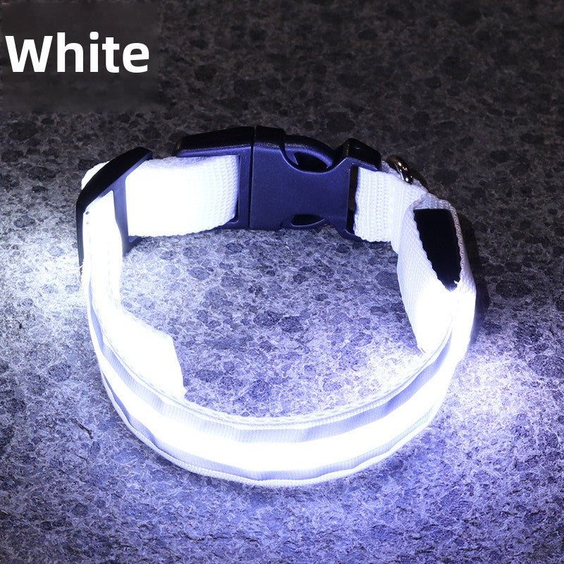 LED reflective dog collar glowing green on a night walk