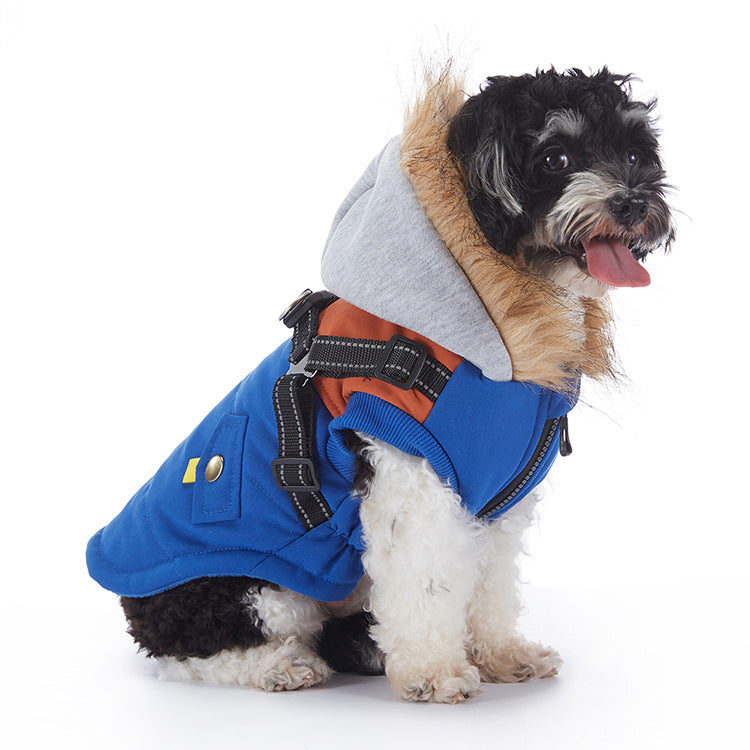 Waterproof padded British style dog winter coat in Orange and Grey, front view