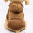Soft hooded pet sweatshirt with pocket in Green, showing size and shape