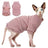 Hairless cat wearing a grey striped belly cover top