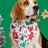 Cartoon print pet bandana for dogs and cats in Design 20, in a home setting