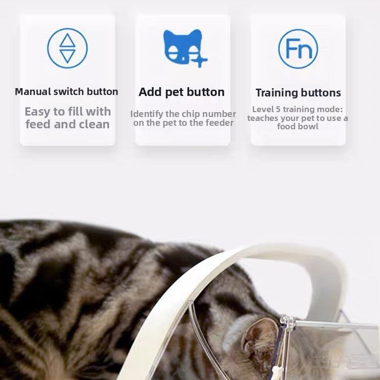 pet feeder