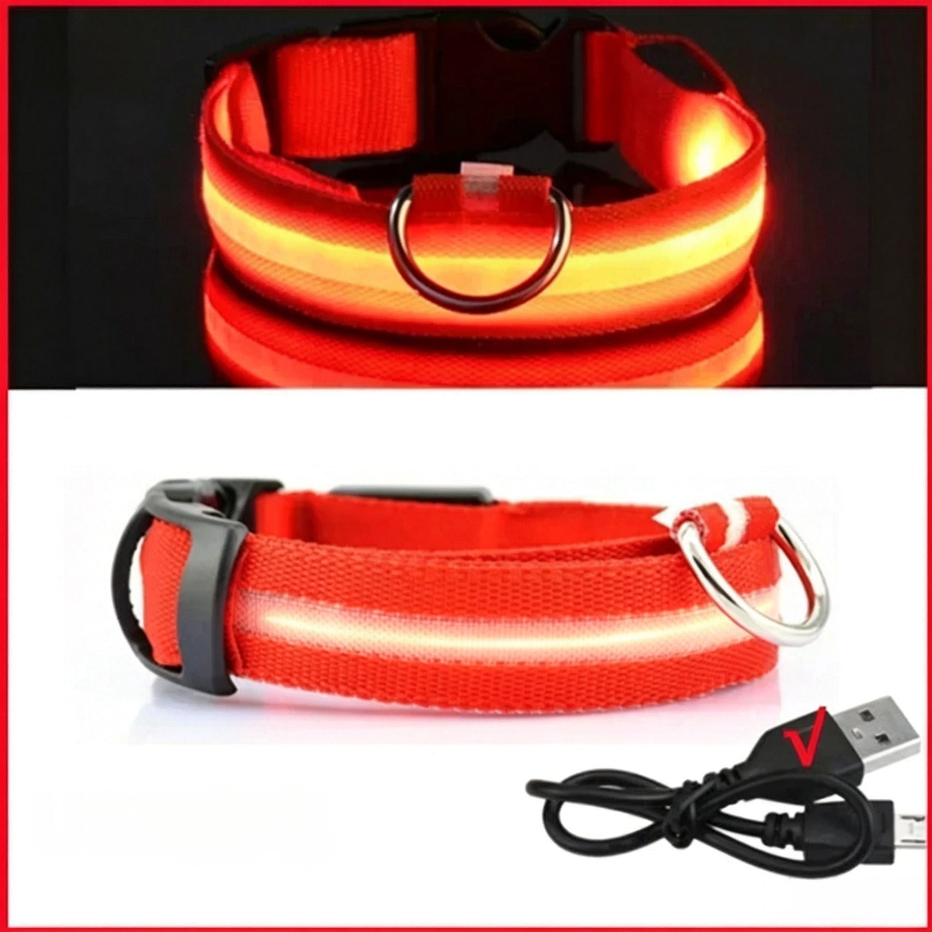 Reflective LED dog collar with USB charging in Blue, showing size and shape