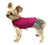Cotton dog comfort pressure vest, available in 6 colours, image 22