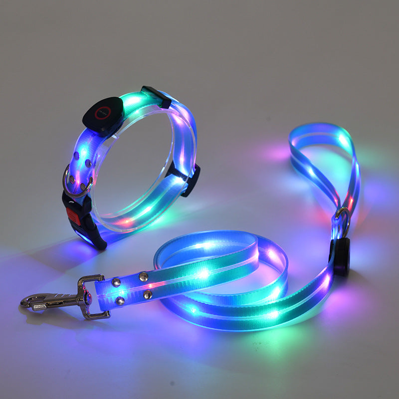 USB rechargeable LED dog collar and lead in Yellow Lead, in use with a pet