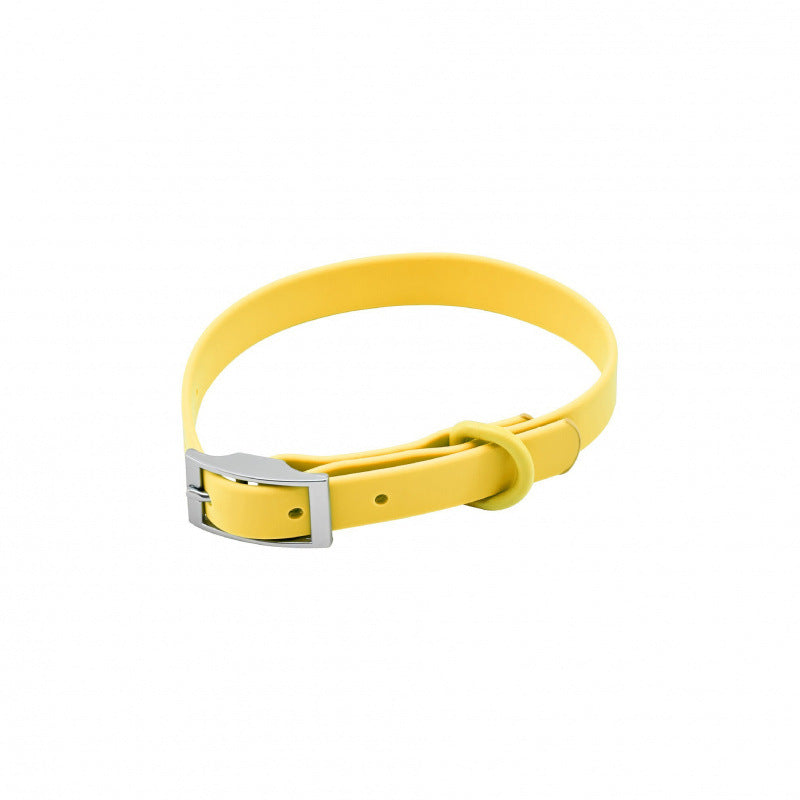 Silicone pet collar with alphabet letters in Dragon Fruit Collar, close-up detail