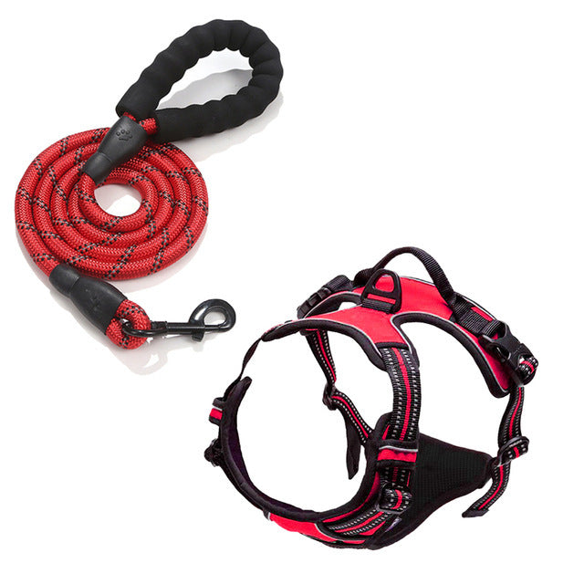 Polyester dog harness sets shown in nine bright colours