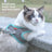 Reflective mesh cat harness with lead in green and grey, product image 2