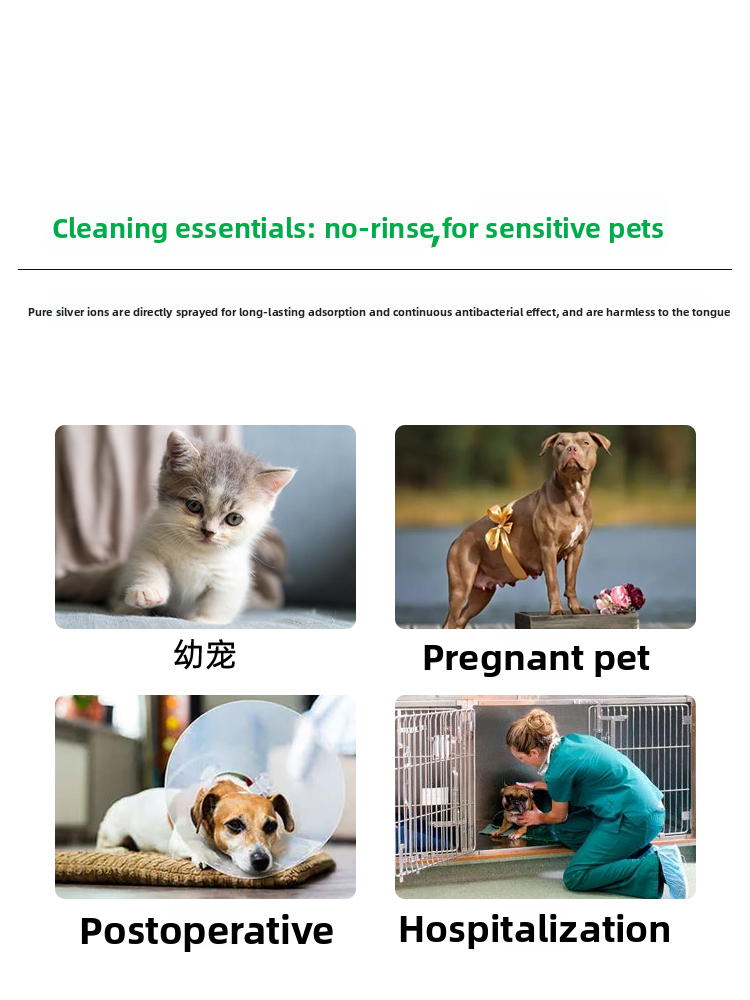 Silver Ion Pet Deodorising Spray for Coats and Home