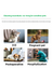 Silver Ion Pet Deodorising Spray for Coats and Home