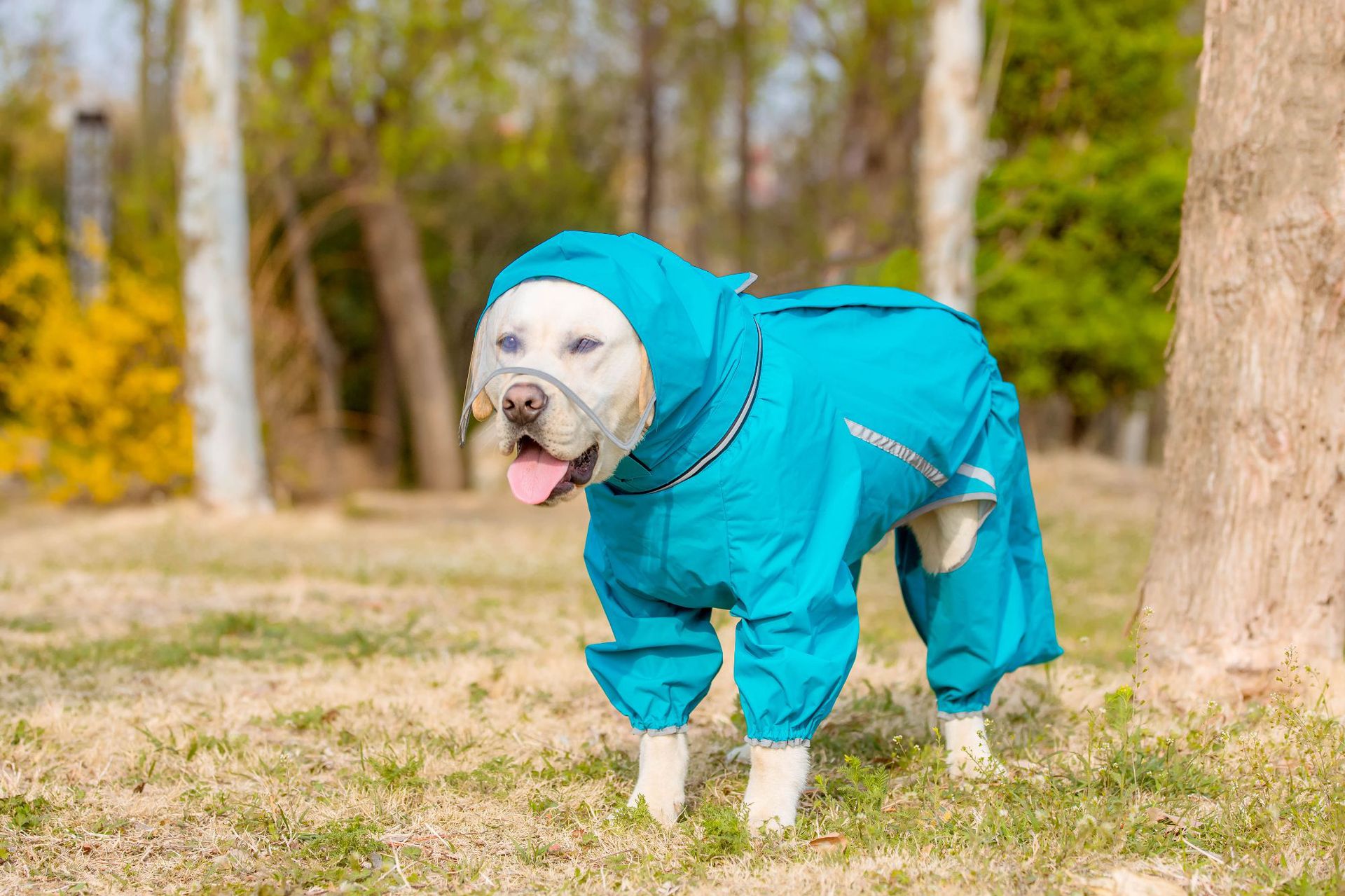 Four leg dog raincoat with tail cover, available in 4 styles, image 13