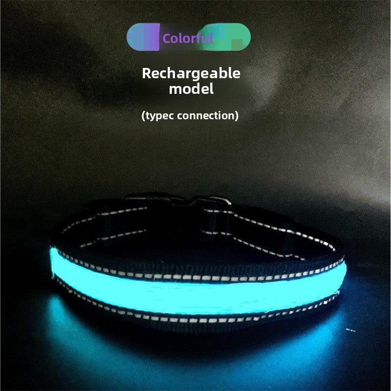 USB rechargeable LED dog collar, available from Pet Royale UK
