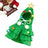 Small dog wearing a green plush Christmas tree cape