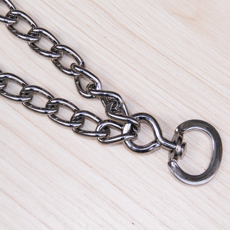 Detachable metal chain dog collar, in a home setting