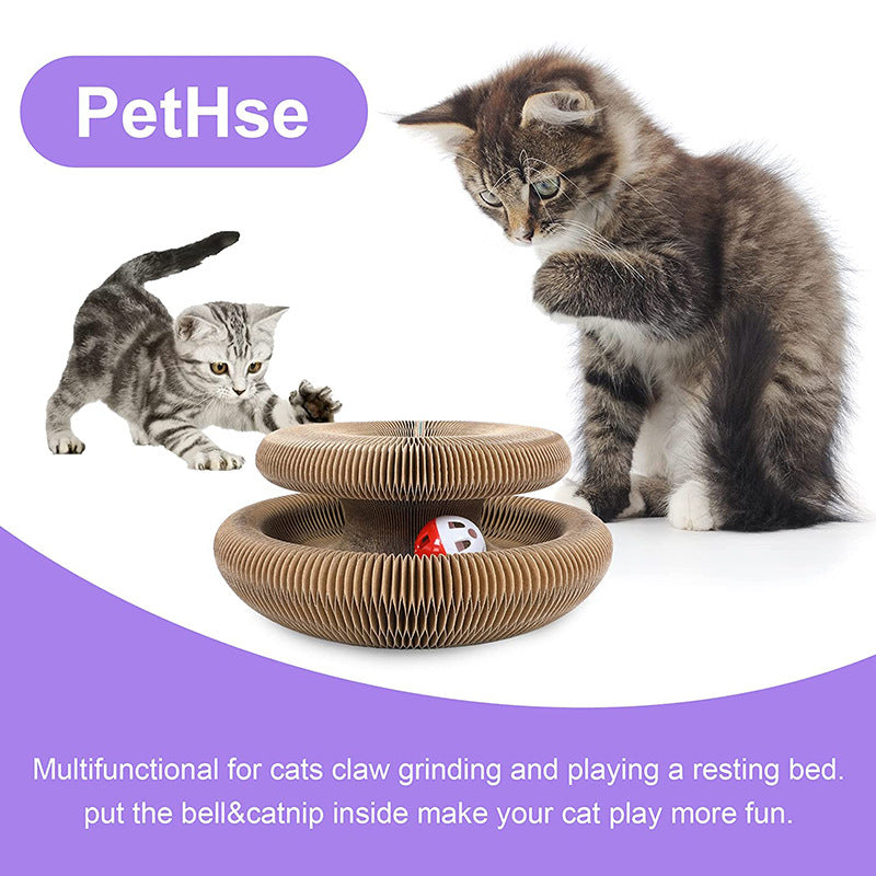 Kitten playing with an accordion style cardboard scratcher