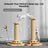 5-in-1 wooden cat scratching board with turntable - photo 3