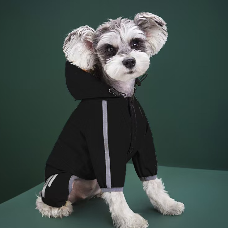 Small dog in a yellow hooded reflective four leg raincoat