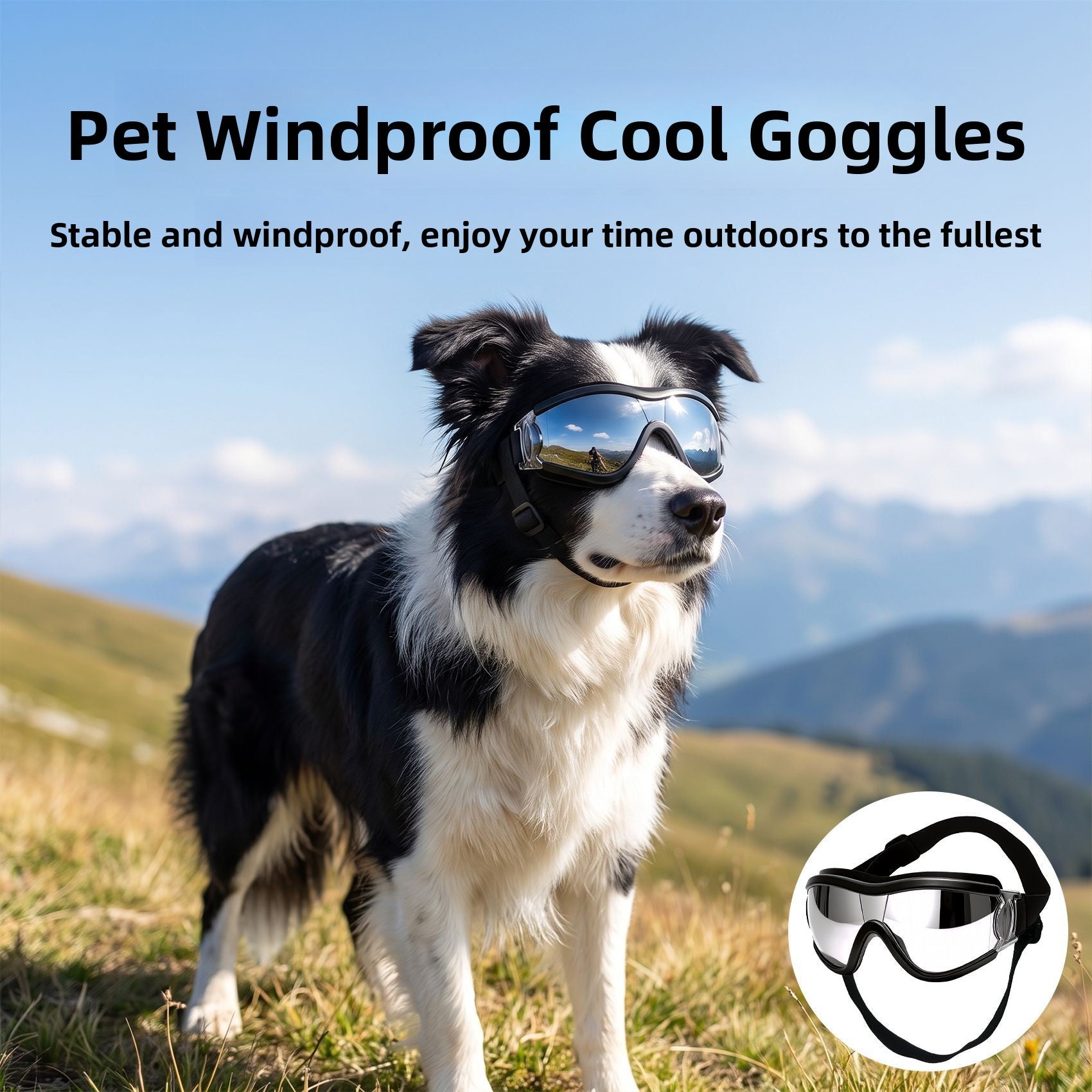 Windproof Dog Goggles for Medium and Large Dogs, Adjustable Straps
