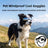 Windproof Dog Goggles for Medium and Large Dogs, Adjustable Straps