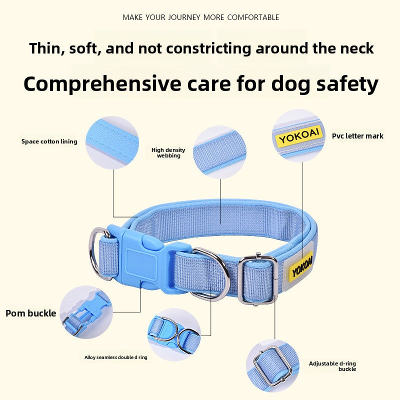 Dog collar and lead in one, ideal for everyday use