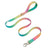 Gradient dog collar and lead, 3 sizes available