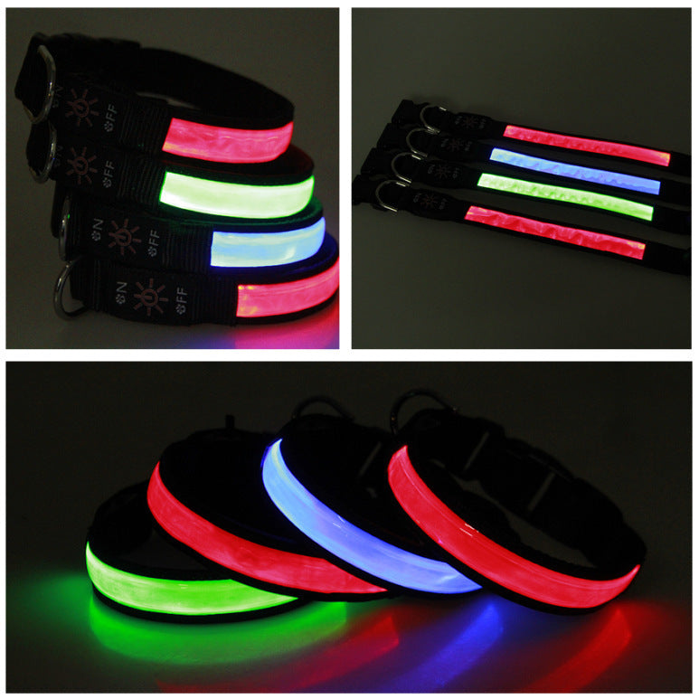 Reflective LED dog collars in red, blue, green and pink