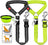 Shock-absorbing bungee lead for large dogs, ideal for everyday use