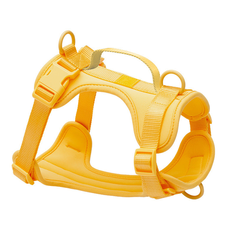PVC dog harness lead and collar set in bright colours, available from Pet Royale UK