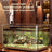 Clear shatterproof PET desktop fish tank for small fish, view 1