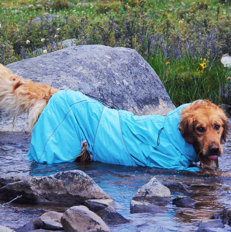 Waterproof four-leg windbreaker for large dogs in Sky Blue, close-up detail