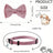 Striped cat collar with velvet bow, main product photo