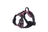 Light up fibre optic dog harness glowing at night, view 16