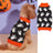 Orange pumpkin print knitted jumper on a small dog