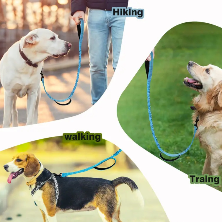 Multi-use bungee dog lead, ideal for walking and running