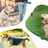 Multi-use bungee dog lead, ideal for walking and running