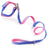 Gradient dog collar and lead, ideal for everyday use