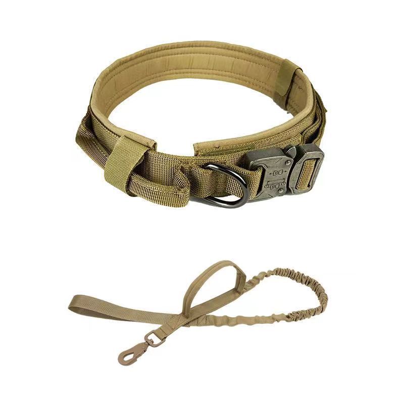 Tactical nylon dog collar with handle, ideal for everyday use