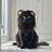 Black animal headpiece costume for dogs and cats, in Black, image 2