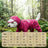 Four leg waterproof dog raincoat, available in 15 styles, image 27