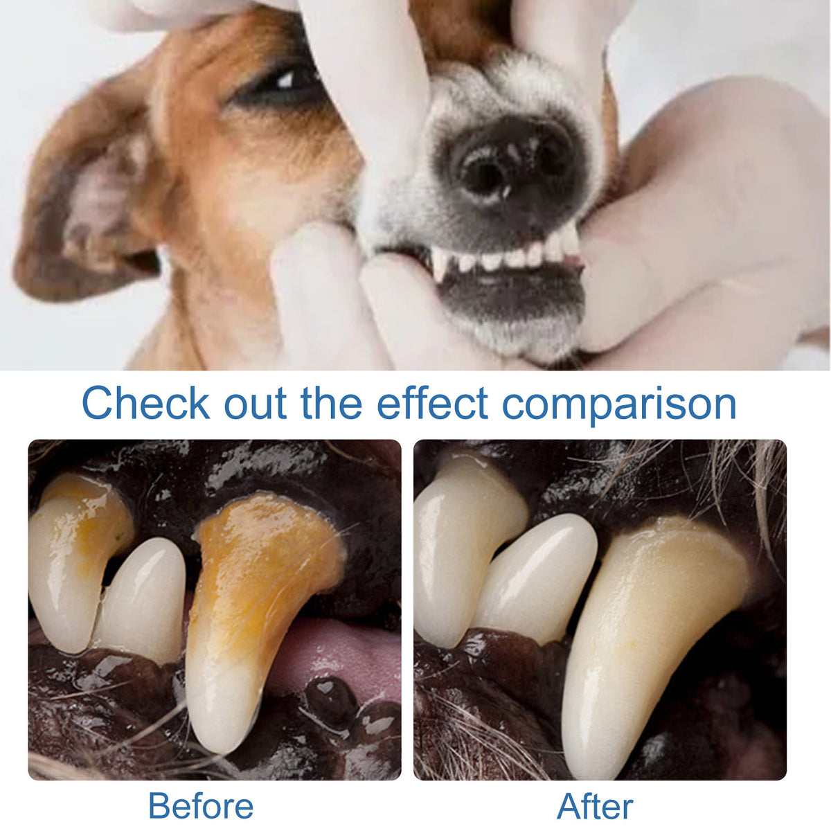 Pet Teeth Cleaning Foam for Dogs and Cats, Fresh Breath Care