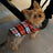 Plaid summer shirt for small dogs and cats, available in 3 colours, image 2